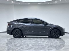 Tesla Model Y Rear-Wheel Drive - ფოტო 19