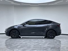 Tesla Model Y Rear-Wheel Drive - ფოტო 20