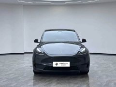 Tesla Model Y Rear-Wheel Drive - ფოტო 4