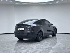 Tesla Model Y Rear-Wheel Drive - ფოტო 6