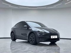 Tesla Model Y Rear-Wheel Drive - ფოტო 7