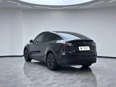 Tesla Model Y Rear-Wheel Drive - ფოტო 8