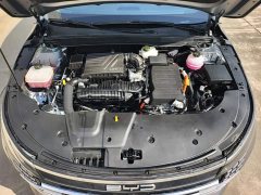 BYD Destroyer 05 Glory Edition DM-i 55KM Luxury - ფოტო 10