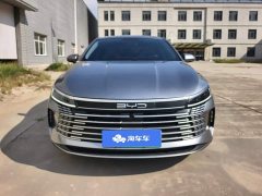 BYD Destroyer 05 Glory Edition DM-i 55KM Luxury - ფოტო 2
