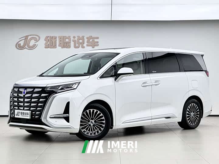 Denza D9 DM-i 970 AWD Flagship
