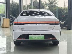 BYD Destroyer 05 Glory Edition DM-i 120KM Luxury - ფოტო 12