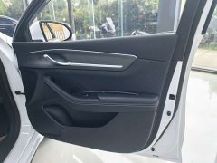 BYD Destroyer 05 Glory Edition DM-i 120KM Luxury - ფოტო 19