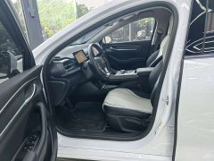 BYD Destroyer 05 Glory Edition DM-i 120KM Luxury - ფოტო 3