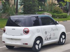 Changan Lumin 210km Sweet Edition - ფოტო 12