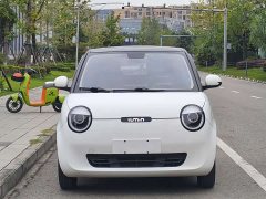 Changan Lumin 210km Sweet Edition - ფოტო 2