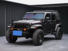BYD Wrangler 2.0T Rubicon Four-Door - ფოტო 1