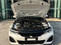 BMW 3 Series Facelift 325Li M Sport Package - ფოტო 13