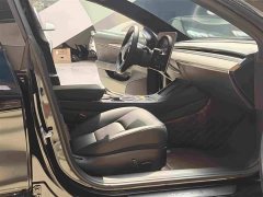 Tesla Model 3 Rear-Wheel Drive - ფოტო 13