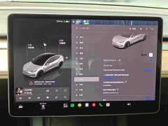 Tesla Model 3 Rear-Wheel Drive - ფოტო 18