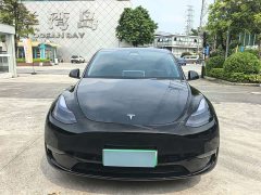 Tesla Model Y 2023 Long Range All-Wheel Drive - ფოტო 3