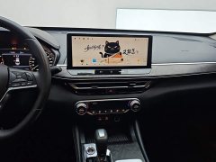 Nissan Teana 2.0L XL-TLS Comfort Edition - фото 13