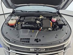 BYD Destroyer 05 2024 Glory Edition DM-i 55KM Luxury - ფოტო 10