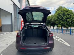 Tesla Model Y Rear-Wheel Drive - ფოტო 10