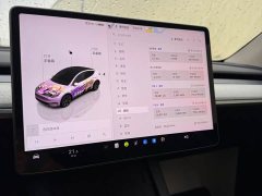 Tesla Model Y Rear-Wheel Drive - ფოტო 11
