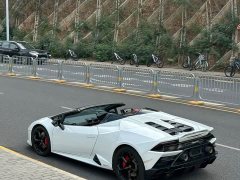 Lamborghini 2019 Lamborghini Huracán EVO Spyder - ფოტო 3