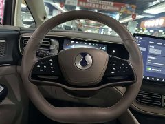 Denza D9 2022 DM-i 970 AWD Flagship - ფოტო 11