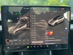 Tesla Model Y Rear-Wheel Drive Launch Edition - ფოტო 12