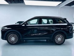BYD Fengyun T9 120 Long Range Flagship 7-Seater Ternary Lithium - ფოტო 12