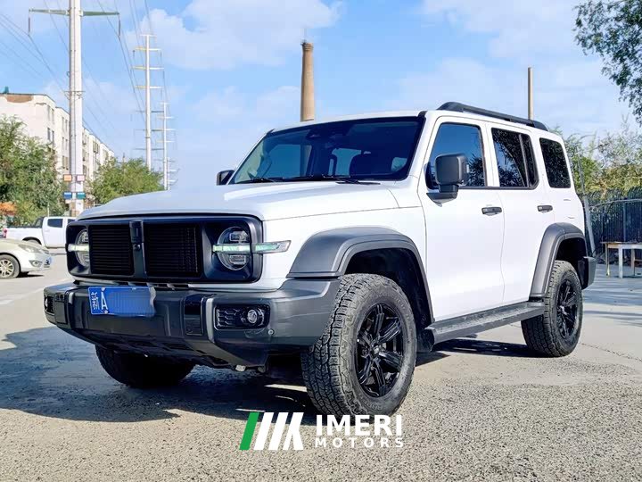 Tank 300 Off-Road Edition 2.0T Conqueror - ავტომობილი ჩინეთიდან