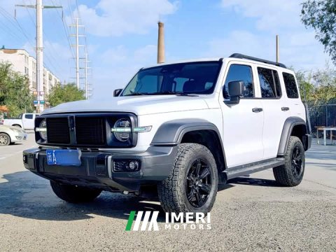 2023 Tank 300 Off-Road Edition 2.0T Conqueror - ავტომობილი ჩინეთიდან