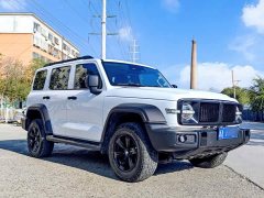 Tank 300 Off-Road Edition 2.0T Conqueror - ფოტო 3