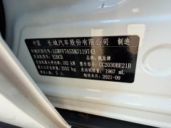 Tank 300 2021 Off-Road Edition 2.0T Conqueror - ფოტო 12