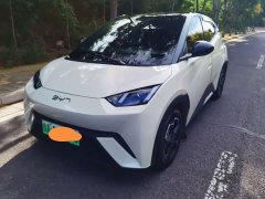 BYD Seagull Smart Drive 305km Vitality Edition - ფოტო 1