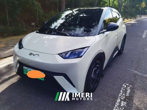 2025 BYD Seagull Smart Drive 305km Vitality Edition - ავტომობილი ჩინეთიდან