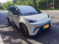 BYD Seagull Smart Drive 305km Vitality Edition - ფოტო 3