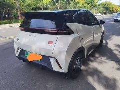 BYD Seagull Smart Drive 305km Vitality Edition - ფოტო 7