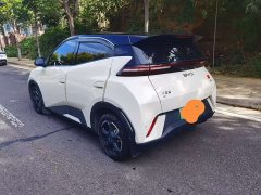 BYD Seagull Smart Drive 305km Vitality Edition - ფოტო 9