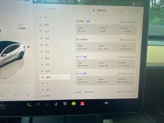 Tesla Model 3 2022 Rear-Wheel Drive - ფოტო 10