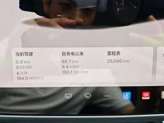 Tesla Model Y Rear-Wheel Drive - ფოტო 14
