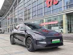 Tesla Model Y Rear-Wheel Drive - ფოტო 3