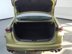 Trumpchi Leopard 2021 270T DCT J16 - ფოტო 4