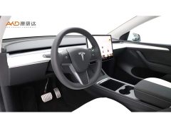 Tesla Model Y Performance All-Wheel Drive - ფოტო 6