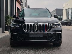 BMW X5 xDrive 30Li Deluxe VersionM - ფოტო 2