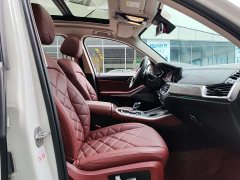BMW X5 xDrive 30Li Deluxe VersionM - ფოტო 8
