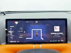 XPeng G9 725 Max - ფოტო 11