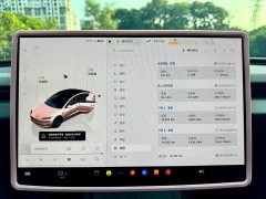 Tesla Model 3 Rear-Wheel Drive - ფოტო 4