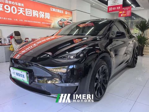2021 Tesla Model Y Standard Range RWD - ავტომობილი ჩინეთიდან