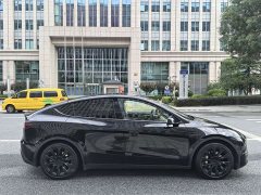 Tesla Model Y 2022 Rear-Wheel Drive - ფოტო 6