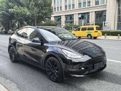 Tesla Model Y 2022 Rear-Wheel Drive - ფოტო 7