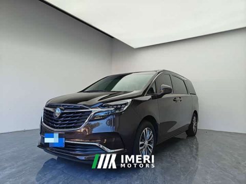 2021 Buick GL8 ES Land Respect 653T Respect Enjoyment Edition - ავტომობილი ჩინეთიდან