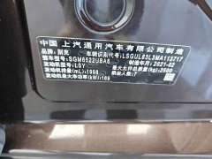 Buick GL8 ES Land Respect 653T Respect Enjoyment Edition - ფოტო 16